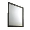 ACME Carine II Mirror in Gray 26264